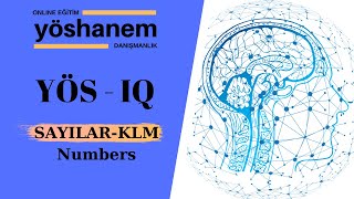 SAYILAR Numbers  KLM  YÖS IQ [upl. by Estey]