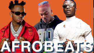 BEST OF THE BEST AFROBEATS VIDEO MIX 2024 💥who you guy💥 OMAH LAY REMA AYRA STARR TYLA CKAY [upl. by Yrelle]