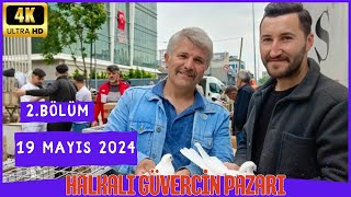 HALKALI GÜVERCİN PAZARI 24032024 4BÖLÜM pigeon birds animals güvercin quot4Kquot [upl. by Clemen899]