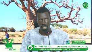 Gànjarug wolof ak Moor Mbaay du Mercredi 04 Décembre 2024 [upl. by Anallese]