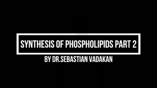 Synthesis of Phospholipids Part 2 [upl. by Aremmat]