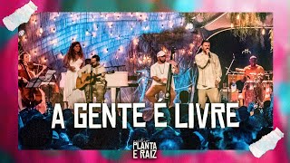 A Gente é Livre  Acústico Planta amp Raiz 2022  Ao Vivo em SP [upl. by Yadseut]