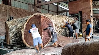 Semakin meradang nitizen  lihat kayu trembesi punya sultan seharga 15milyar digergaji I Sawmill [upl. by Bradman279]