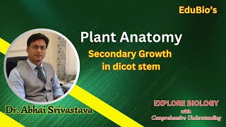 Plant Anatomy  Secondary growth  Dicot Stem  Dr Abhai Srivastava [upl. by Aiyot]