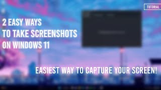 How to Take Screenshots on Windows 11 [upl. by Camm]