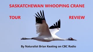 Saskatchewan Whooping Crane Tour Review [upl. by Lunna85]