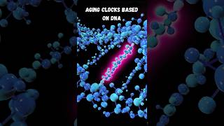 Beyond Birthdays Accurate Aging with Epigenetic Clocks [upl. by Rao]