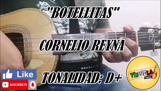 Botellitas  Cornelio Reyna  Cover Vihuela [upl. by Ielhsa11]