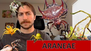 Araneae The Spiders  Order Spotlight [upl. by Lanod]