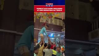 Maharashtra Dahi Handi Organised At Shri Siddhivinayak Temple On Shri Krishna Janmashtami shorts [upl. by Ardyth256]