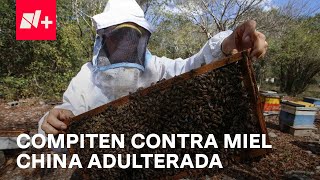 Apicultores mexicanos compiten contra miel china adulterada  En Punto [upl. by Anail]