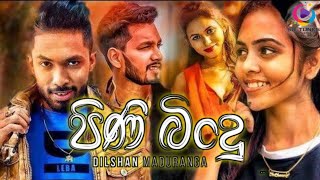 Pini Bindu පිණි බිංදු  Dilshan Maduranga New Song 2024  Sanda Nathi Wu Kalu Ahasai [upl. by Ritter]