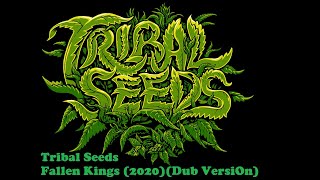 Tribal Seeds  Fallen Kings Dub Version2020 [upl. by Webster242]