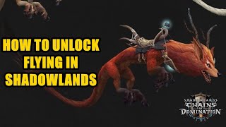 How To Unlock Flying in Shadowlands Pathfinder  Complete Guide [upl. by Kolb]