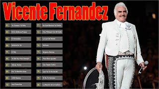 VICENTE FERNANDEZ MEJORES CANCIONES  VICENTE FERNANDEZ 40 GRANDES ÉXITOS MIX [upl. by Meela]