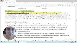 Tema 12 Los sistemas efectores UNEDPsicobiologia [upl. by Sylirama]