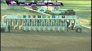 2023 Retama Park Opening Night  Race 5  June 29 2023 [upl. by Chesney]