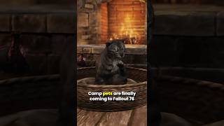 Camp Pets Are Coming To Fallout 76 [upl. by York]