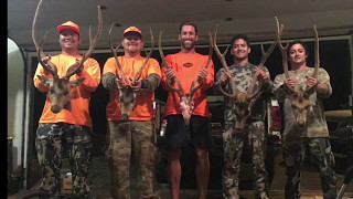 Lanai Axis Deer Hunt Big Bucks [upl. by Nnaeilsel]