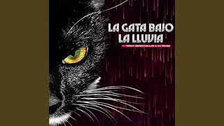 La gata bajo la lluvia [upl. by Evslin]