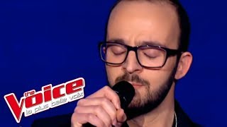 Barbra Streisand  Memory  Jhony Maalouf  The Voice France 2012  Prime 1 [upl. by Drawyah]