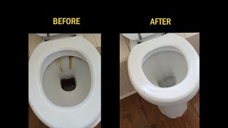 Watch how we clean layers of stubborn brown limescale from a toilet bowl [upl. by Hsemar]