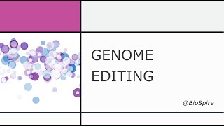 Genome editing  Zinc finger nucleases  TALENS  CRISPR CAS  CSIR UGC NET [upl. by Cortney]