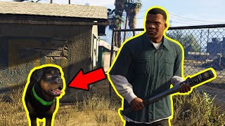 TRAINING CHOP TO BE A GOOD DOG । GTA 5 । GAMEPLAY1 [upl. by Aran]