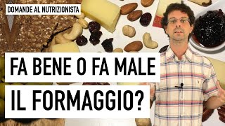 Fa bene o fa male il formaggio [upl. by Aivil464]