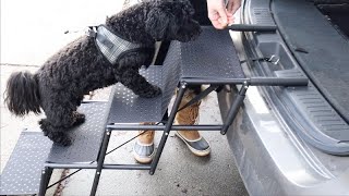 Nahofi Foldable Dog Stairs for Large Dogs Review  Portable Dog Car Ramp with Nonslip Surface [upl. by Annig]