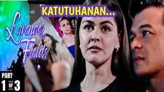 Lavender Fields  FULL EPISODE  Nov 2024  Advance Episode  Katutuhanan [upl. by Keven471]