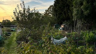 New allotment seating area [upl. by Barr392]