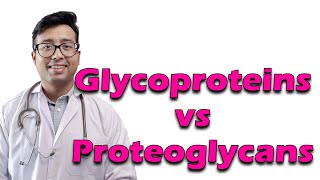 Glycoproteins vs Proteoglycans [upl. by Harbot]