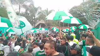 La Hinchada Verdolaga Contra Los Directivos De Atletico Nacional [upl. by Acino26]