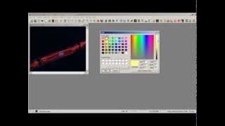 ImagePro Plus Apply Calibration Marker [upl. by Barfuss]