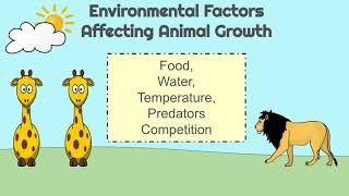 5 Minute Science Growth of Organisms Understanding MSLS15 [upl. by Awram325]