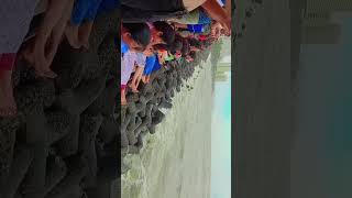 jage jage rahte the 🌊🌊🌊🏝️🏖️🏝️🌉🌉 trending love marine bollywood song [upl. by Abagael]