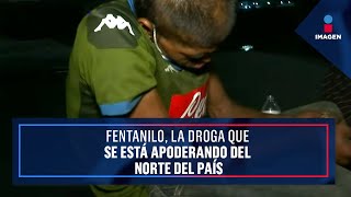 Fentanilo la droga que se está apoderando del norte del país  Noticias con Ciro Gómez Leyva [upl. by Clarence]