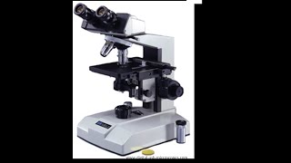 Micro Lab 3 Introduction to Compound Light Microscopy [upl. by Leasim]