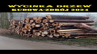 VLOG WYCINKA DRZEW KUDOWA ZDRÓJ 2024 [upl. by Nitsugua670]