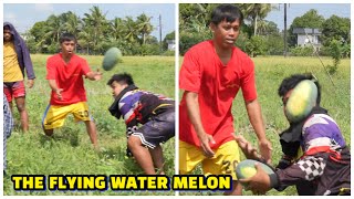 quotHarvesting Watermelon in the Philippines A Fun and Delicious Experiencequot [upl. by Hamlin266]