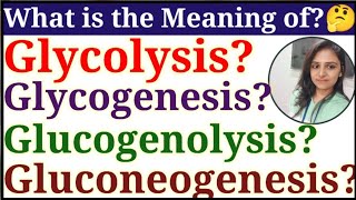 Differences between GlycolysisGlycogenesisGlycogenolysisGluconeogenesis divyamishra [upl. by Bucher9]