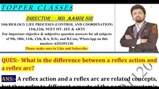 What is the difference between a reflex action and a reflex arc [upl. by Vitkun]