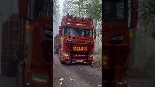 holztransport lkwfahrer orangebeast scania rs [upl. by Watson]