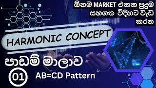 Harmonic Pattern Trading Lesson 1  Technical Analysis  Sinhala [upl. by Amero654]