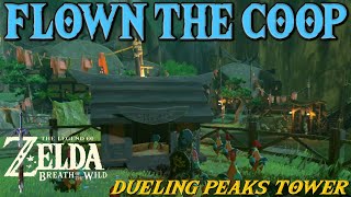 Flown the Coop Side Quest  Zelda Breath of the Wild [upl. by Jena721]