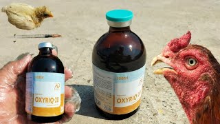 Oxytetracycline HCL injection for Poultry Birds and Livestock  Dr ARSHAD [upl. by Airdnaz635]