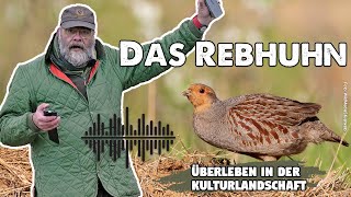 Das Rebhuhn  Überleben in der Kulturlandschaft  jagdtalk  Der Jagd Podcast von Markus Stifter [upl. by Aicenert]