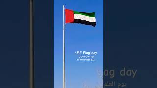 UAE Flag Day 2023 🇦🇪 uaeflagday mysecondhome uae short [upl. by Reece144]