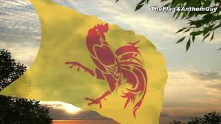 Flag and anthem of Wallonia [upl. by Iba642]